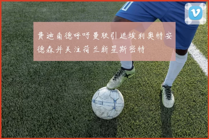 费迪南德呼吁曼联引进埃利奥特安德森并关注荷兰新星斯密特