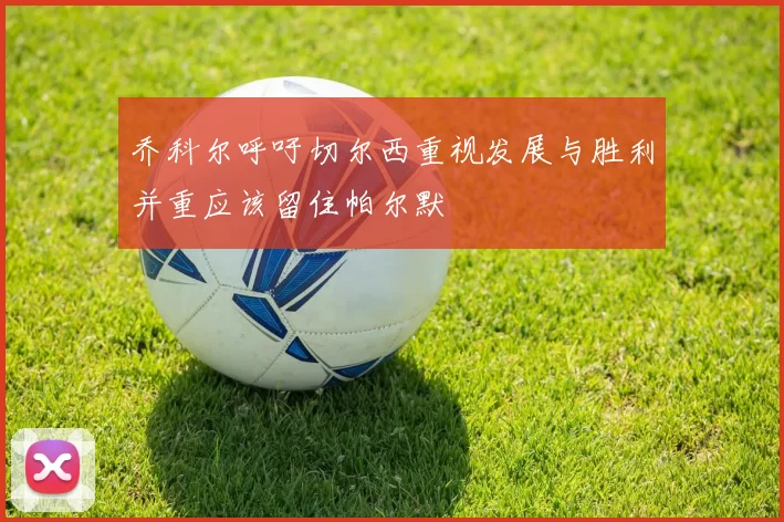 乔科尔呼吁切尔西重视发展与胜利并重应该留住帕尔默